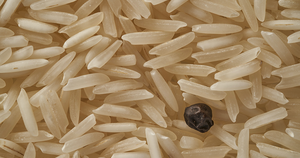 Raw Rice