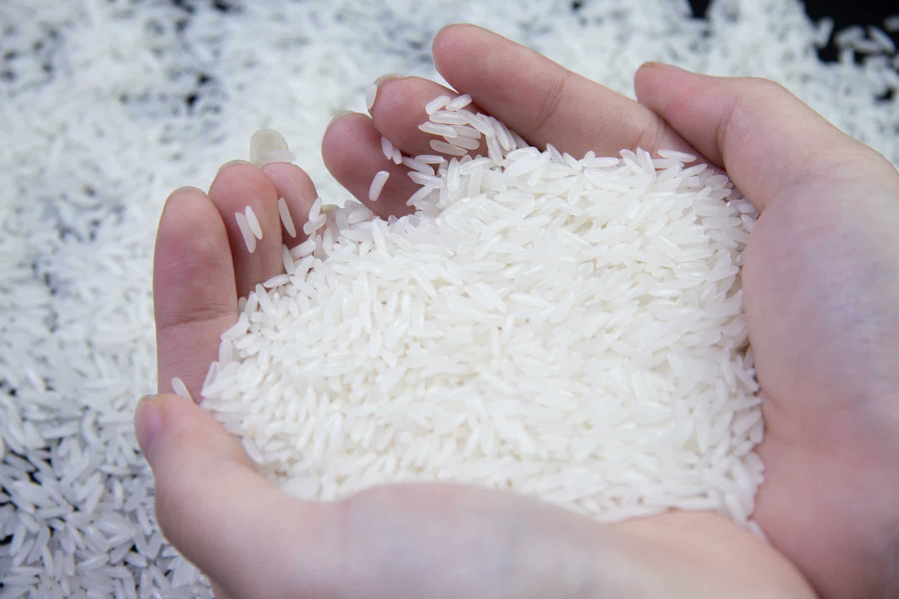 Rice Supply Chain